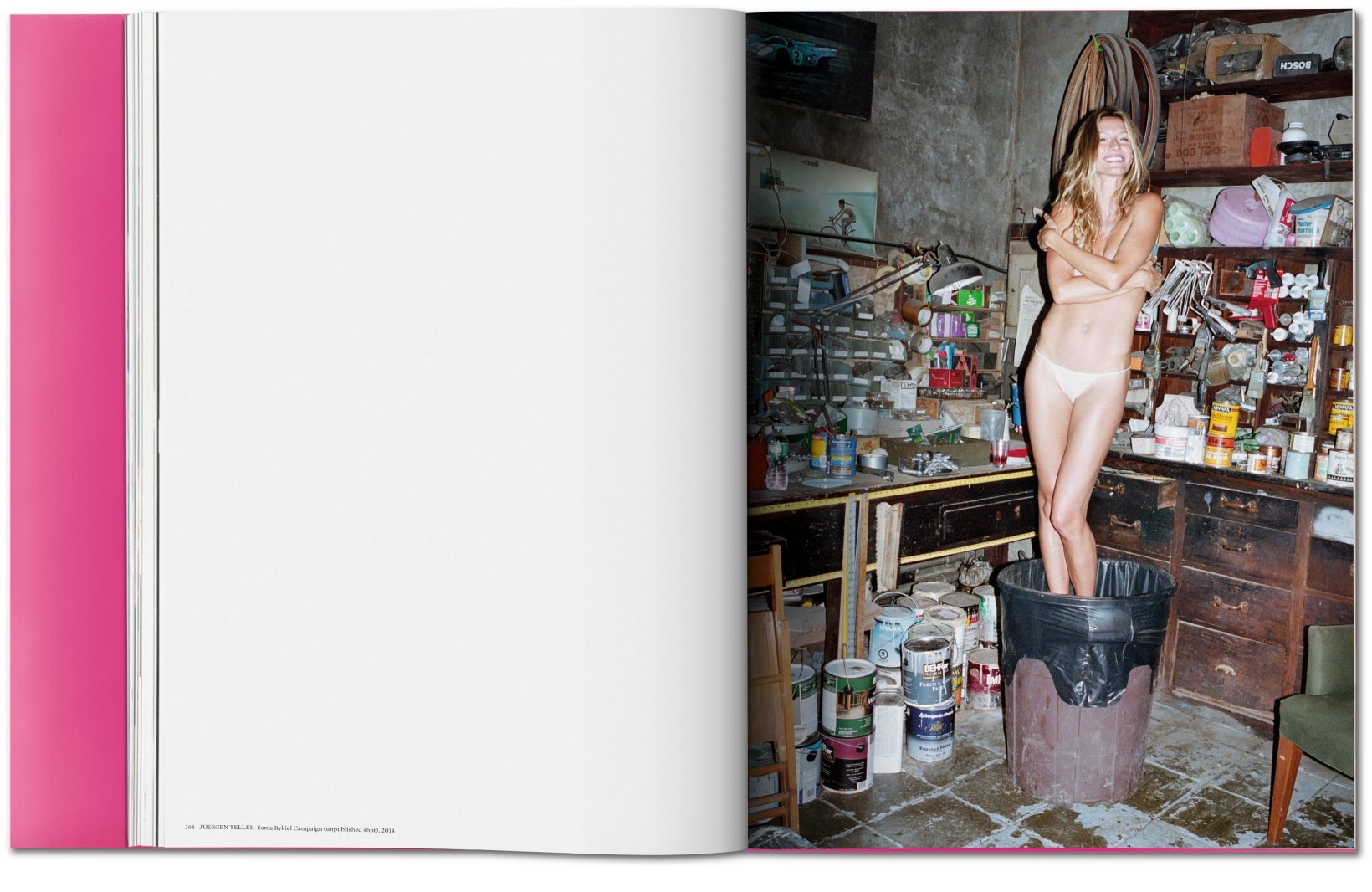 Taschen - Fo-Bundchen Gisele  - Image 13