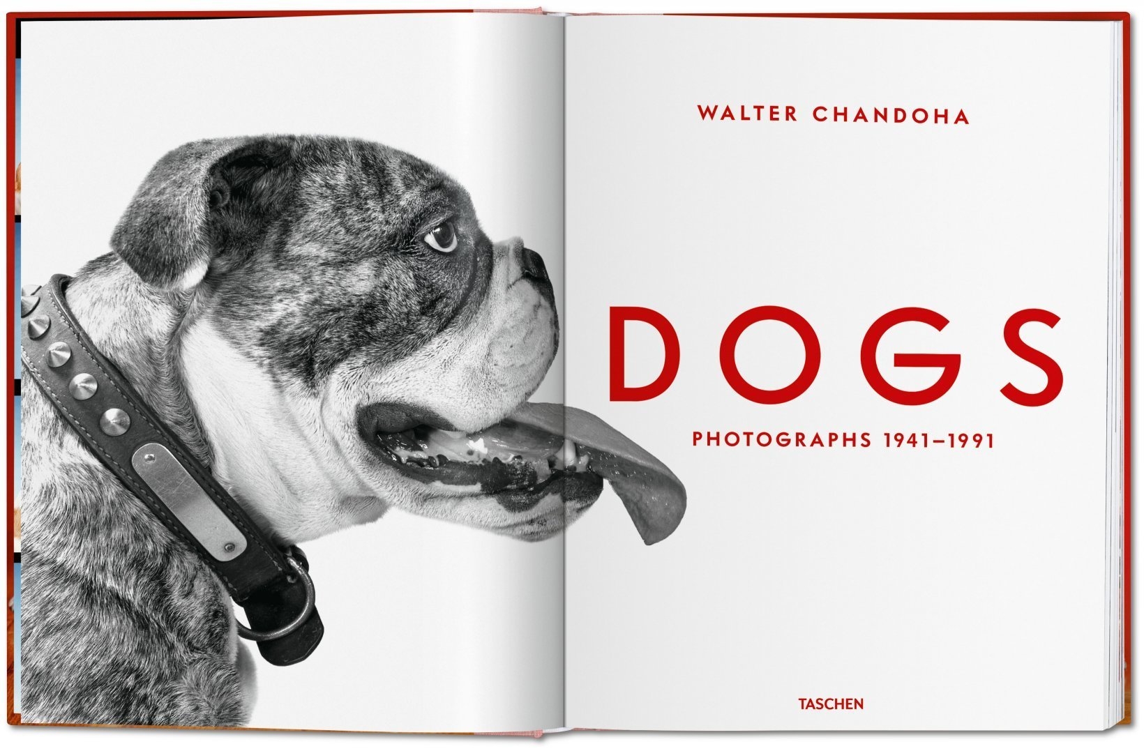 TASCHEN - FO-Chandoha, Dogs - Image 2