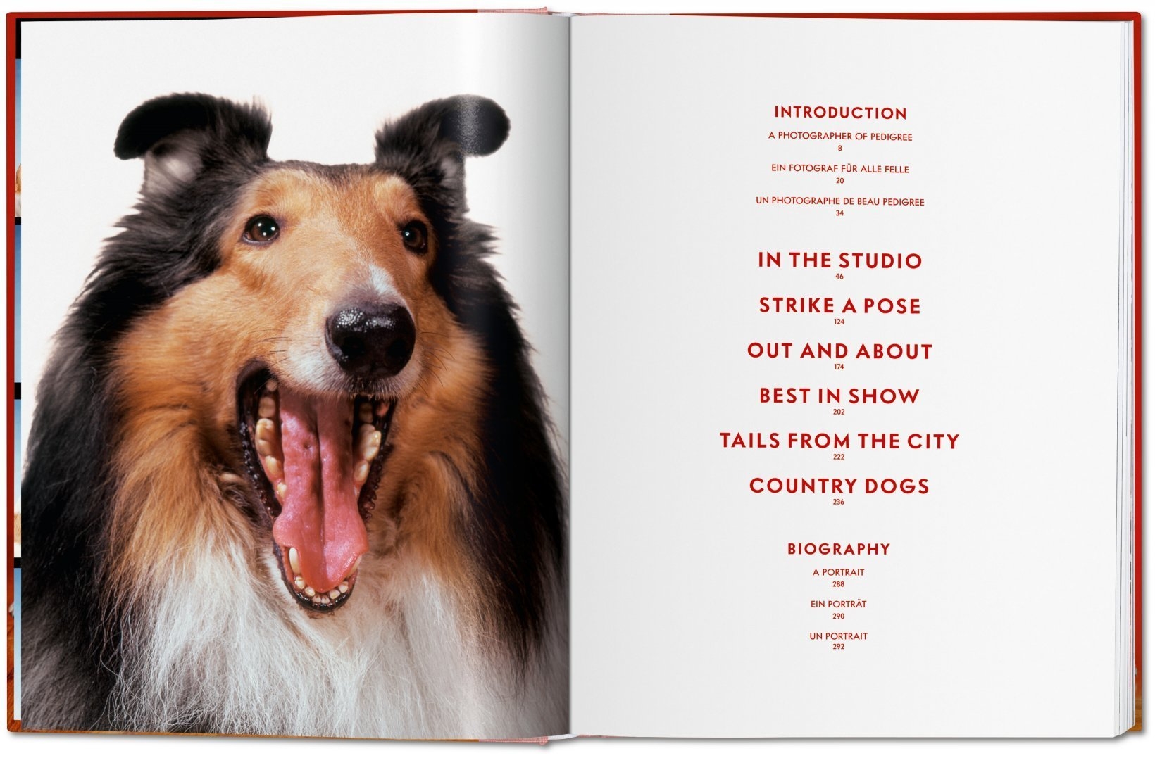 TASCHEN - FO-Chandoha, Dogs - Image 3