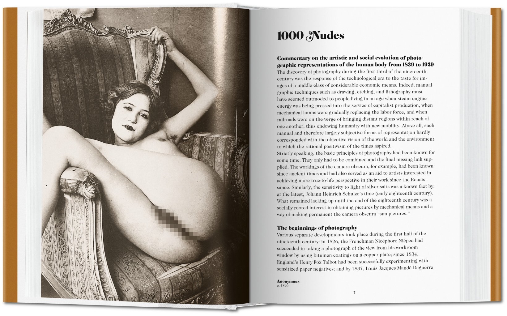 BU-1000 NUDES  - Image 2