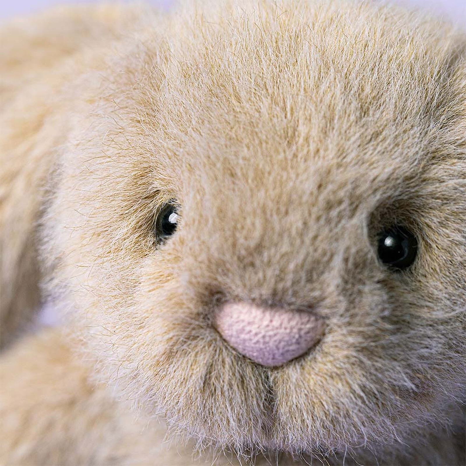 JELLYCAT - Flufflet Bunny Oat – Image 2